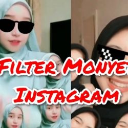 filter monyet instagram
