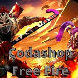 codashop free fire in india how to use codashop in free fire 135251 5feaa30f83447 1609212687 1024x576 2