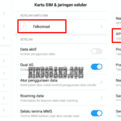 apn telkomsel 2