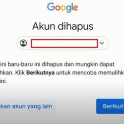 Cara Hapus Akun Google kembali2