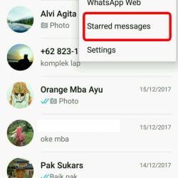 cara supaya tidak kelihatan online di WhatsApp 2 768x1365 1
