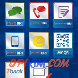 cek saldo brizzi di android