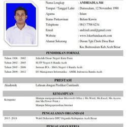 contoh cv curriculum vitae riot