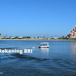 cara cek saldo rekening bri lewat brimo 747x420 1