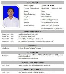 contoh cv curriculum vitae riot 222x300 1