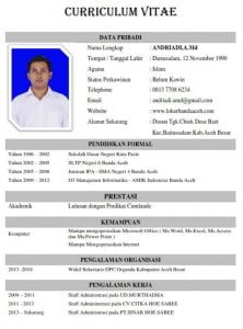 contoh cv curriculum vitae riot 222x300 1