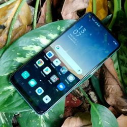 OPPO A33 FullDisplay